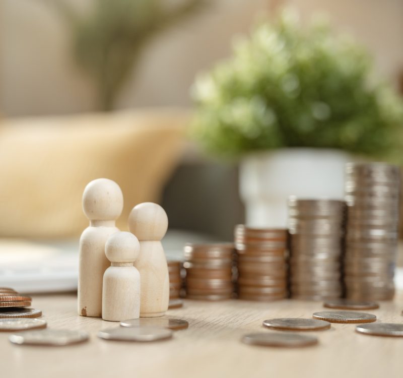 Family financial plan. Finance investment on real estate. Family invest in insurance save plan.